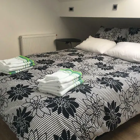 Modern Bright With Free Parking Space Lublana